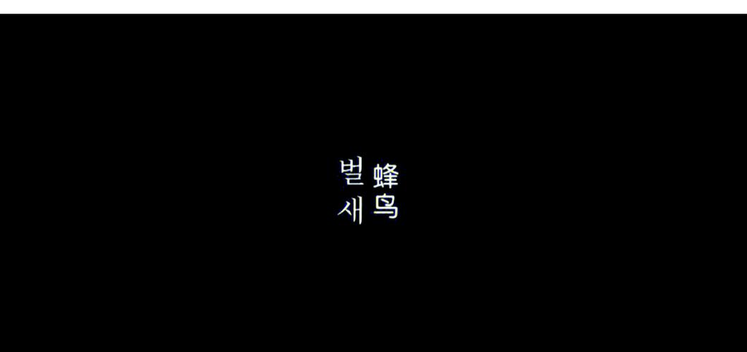多多屋影院：免费高清在线观看热门电影大片，畅享宅家追剧新体验