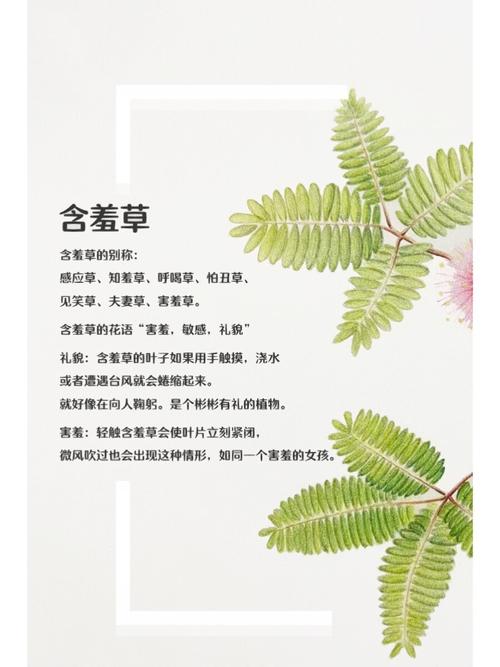 哈哈影院最新电影在线观看 - 免费追剧神器与高清影视资源推荐