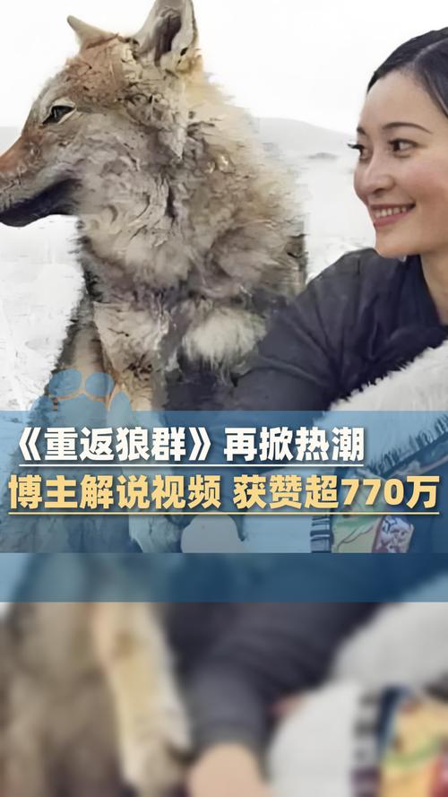 九七影院88在线观看 - 最新高清电影电视剧免费追剧平台
