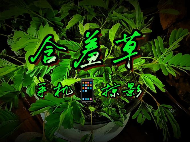 东环广场电影院观影指南 | 最新排片表、今日影讯、特惠购票【东环广场电影院】