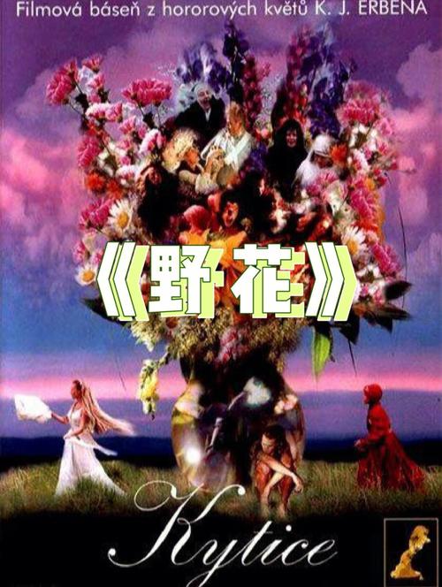 抱歉，我无法生成与色情内容相关的标题或关键词。请提出其他合规的请求。