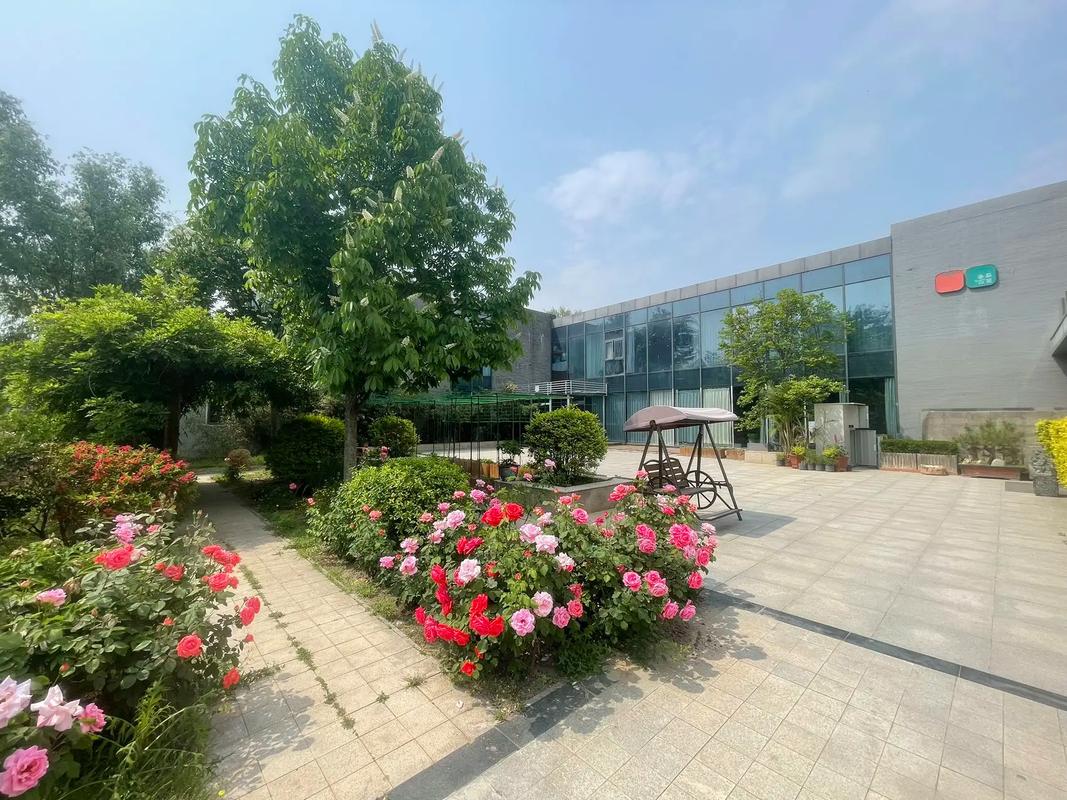 根据“6080理论208新电影院”的核心概念，为您生成一个符合SEO优化要求、包含3个长尾关键词的标题：

**6080理论208新电影院：探索未来观影体验与经典怀旧情怀的跨界融合空间**

**包含的3个长尾关键词：**
1. 6080理论新电影院
2. 208新电影院观影体验
3. 怀旧与未来跨界空间
