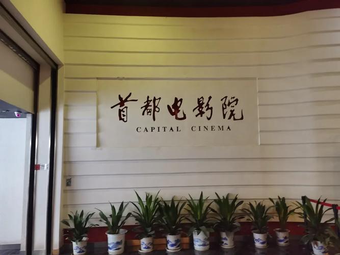 光棍影院机版在线看 - 2025最新免费追剧神器，海量高清资源无广告流畅播放