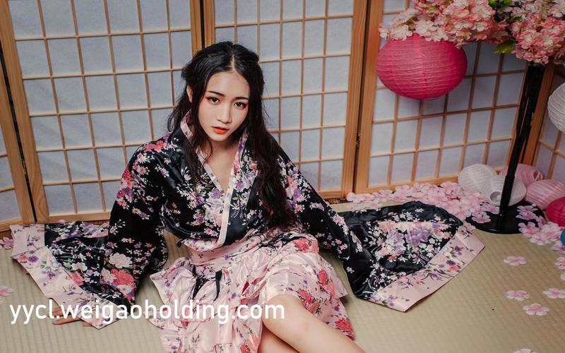 未满十八岁禁止网站入口的相关介绍