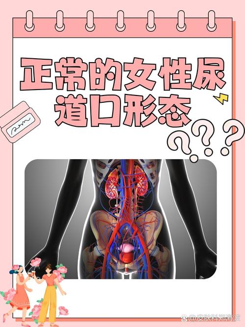 女人又色又爽动漫的相关介绍